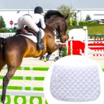 Horse saddle pad on a jumping horse during equestrian competition