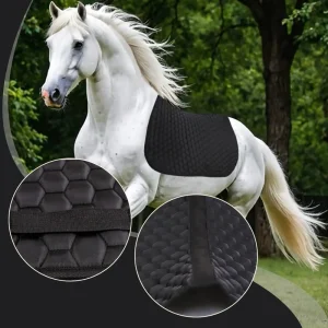 Black horse saddle pad on a galloping white horse in a natural setting